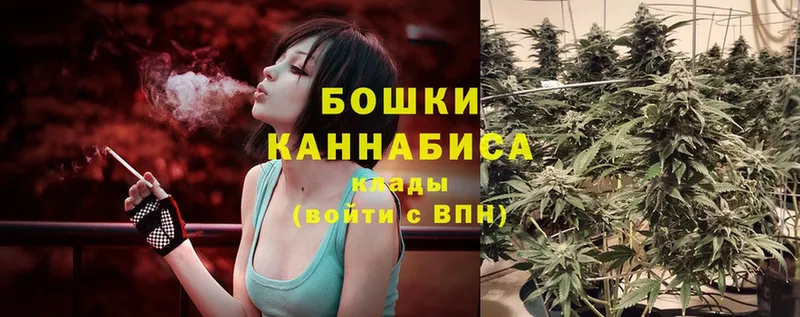 Бошки Шишки SATIVA & INDICA  купить наркоту  Волжск 